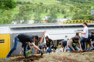 Gaia corporate parter planting trees
