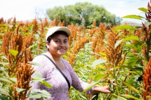 Farmer in the field