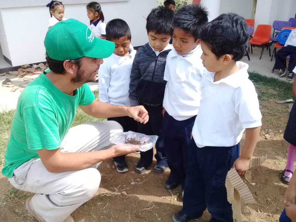 Teaching kids about the amaranth plant