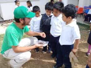 Teaching kids about the amaranth plant