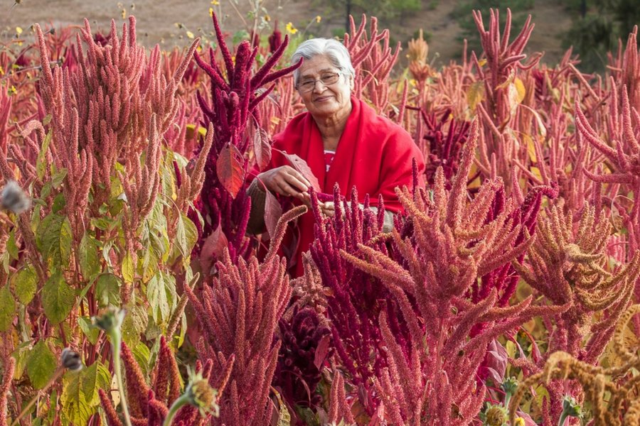 EMPOWER 60 FAMILIES WITH SUSTAINABLE AGRICULTURE