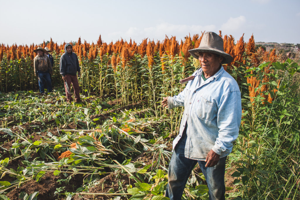 EMPOWER 60 FAMILIES WITH SUSTAINABLE AGRICULTURE
