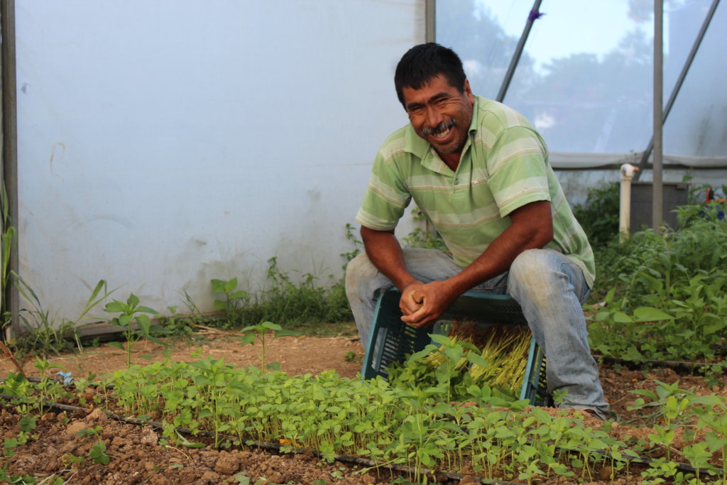 EMPOWER 60 FAMILIES WITH SUSTAINABLE AGRICULTURE