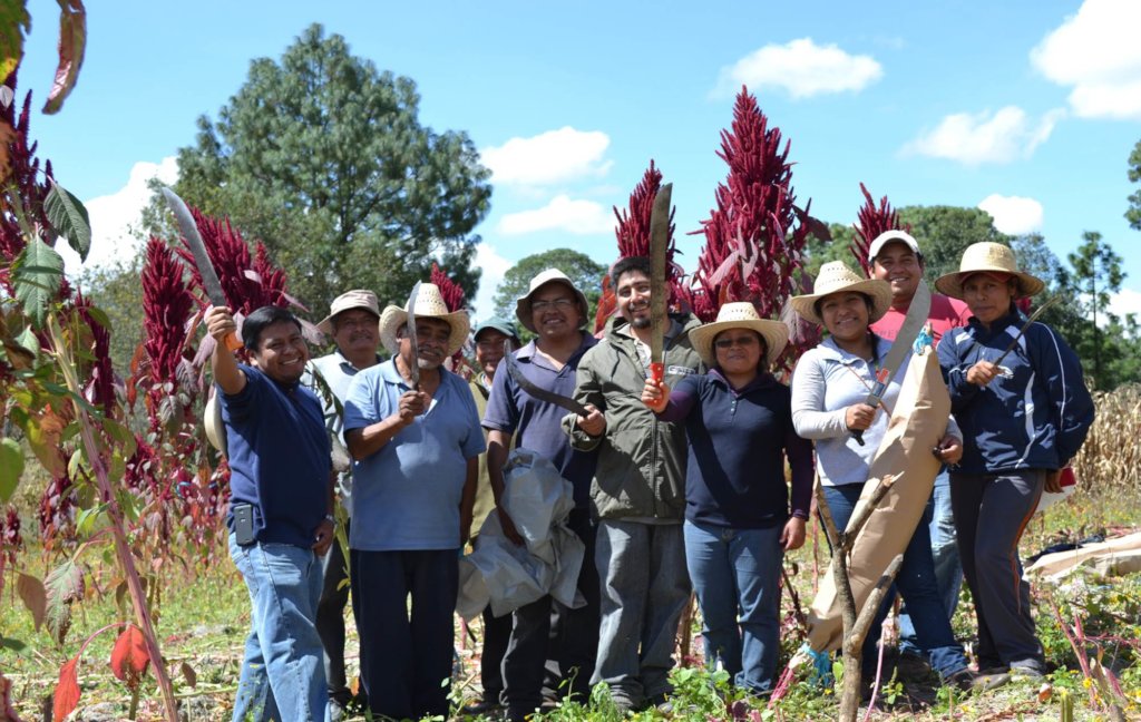 EMPOWER 60 FAMILIES WITH SUSTAINABLE AGRICULTURE