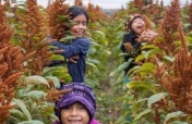 EMPOWER 60 FAMILIES WITH SUSTAINABLE AGRICULTURE