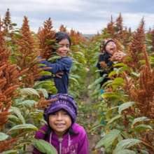 EMPOWER 60 FAMILIES WITH SUSTAINABLE AGRICULTURE