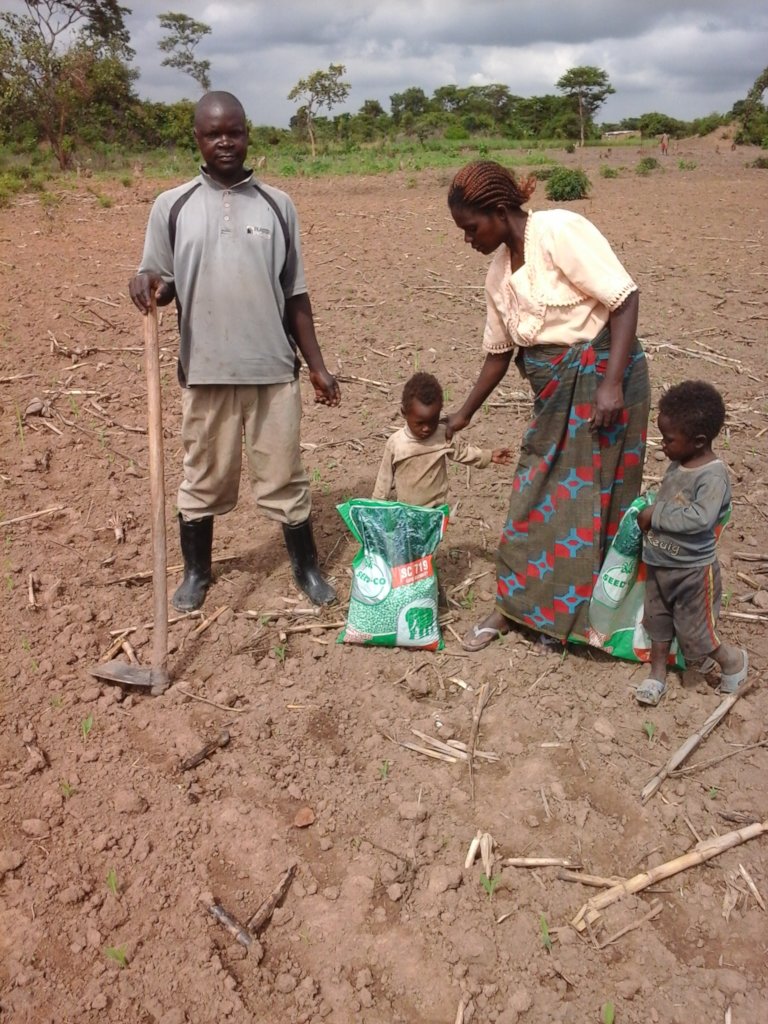 Songolo Family Preparing Land for Planting