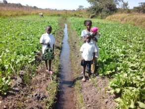 Students by Drainage Ditch