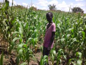 Farmer in corn field
