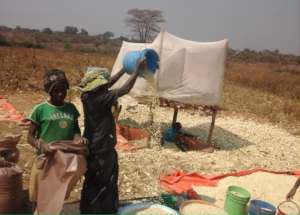 Drying corn