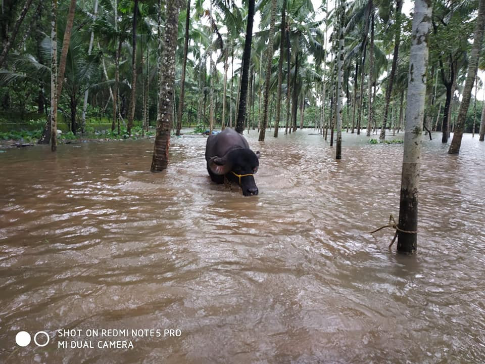 A barefoot run to support flood victims of Kerala