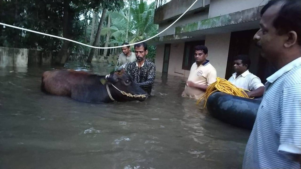 A barefoot run to support flood victims of Kerala