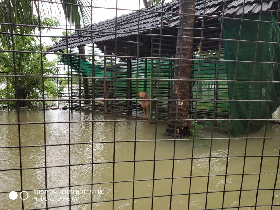 A barefoot run to support flood victims of Kerala