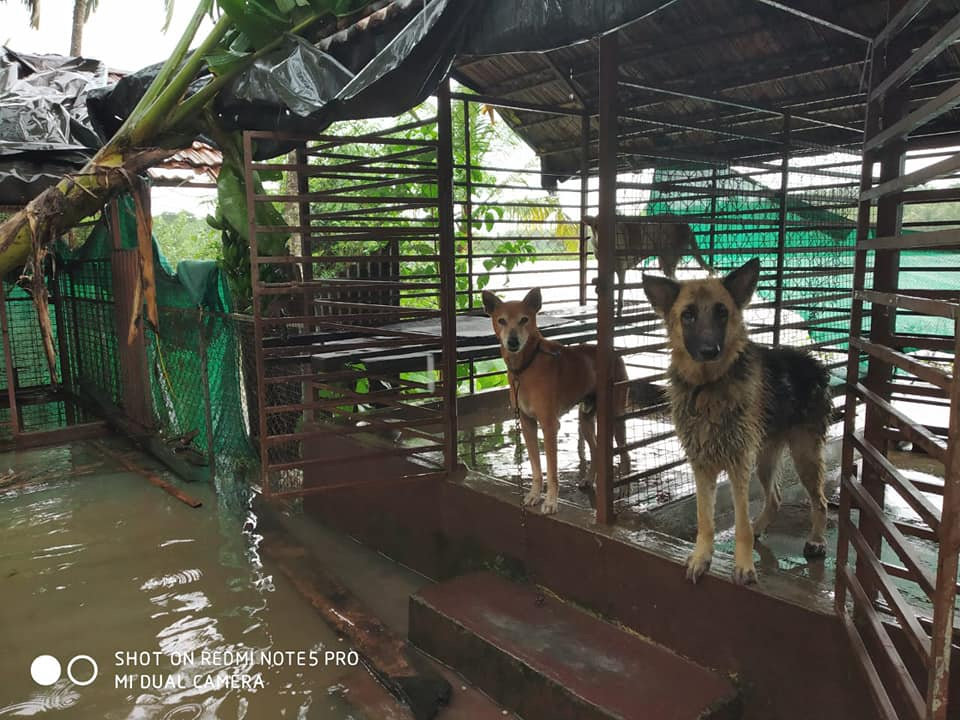 A barefoot run to support flood victims of Kerala