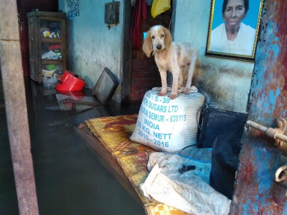 A barefoot run to support flood victims of Kerala