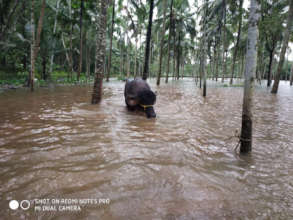 Flood Scenes