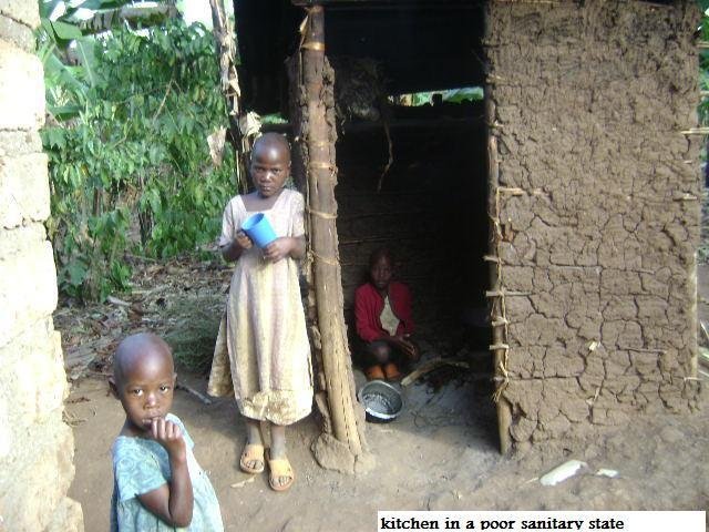 Empower 60 widowed families with Heifers in Masaka