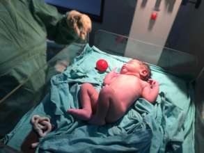 A few minutes of a baby boy born into this world