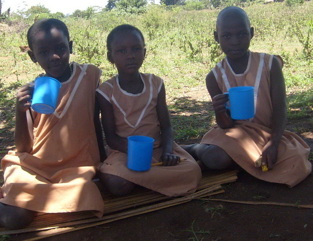 buy land and build a school with 9 classrooms