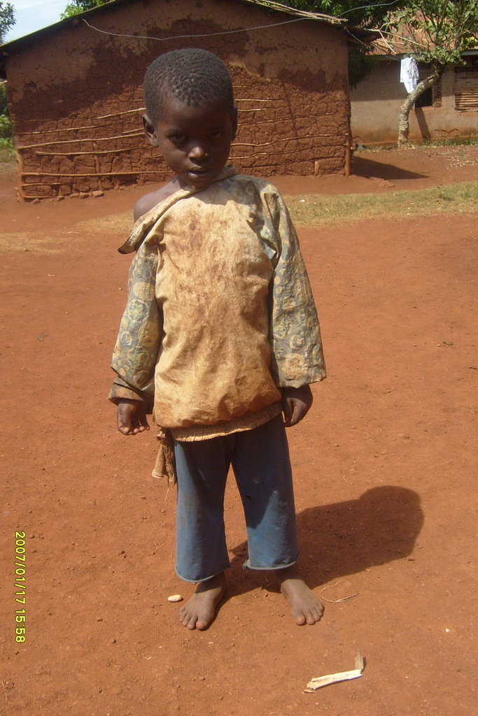 buy land and build a school with 9 classrooms