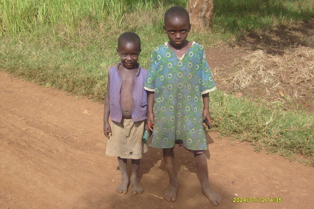 buy land and build a school with 9 classrooms