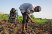 Strengthen 100 Vulnerable Households in Calabar