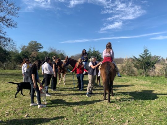 Horseback riding