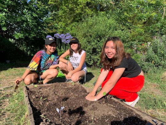 Girls working in the vegetable garden