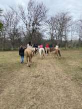 Group on horseback