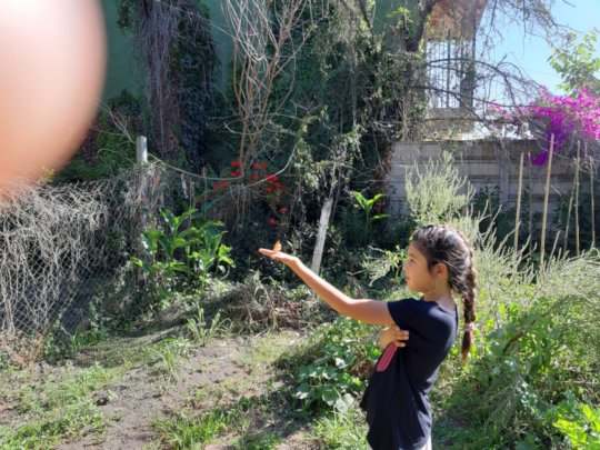 Luzmila playing with a butterfly