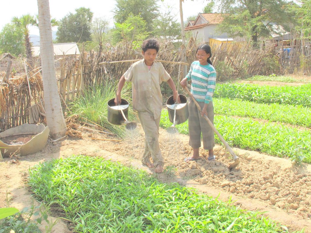Homestead Food Production Program - Cambodia