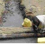 Provision of safe drinking water to 800 orphans