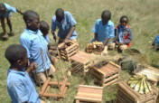 RAPHIA BAMBOO USE BY CHILDREN FOR CRAFTWORK