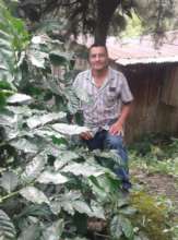Coffee farmer in Jinotega region