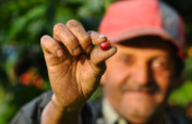 Help Nicaraguan Farmers Build their Resilience
