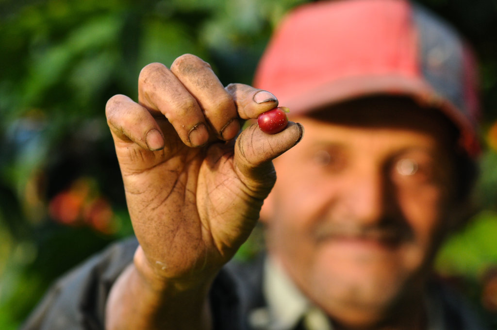 Help Nicaraguan Farmers Build their Resilience