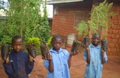 Training and seeds for reforestation in Cameroon