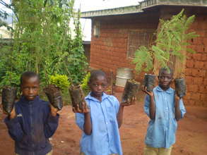 Training and seeds for reforestation in Cameroon
