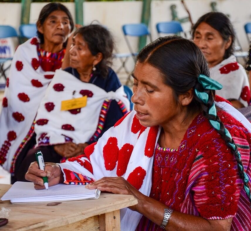 Protect land rights and lives of Mayan communities