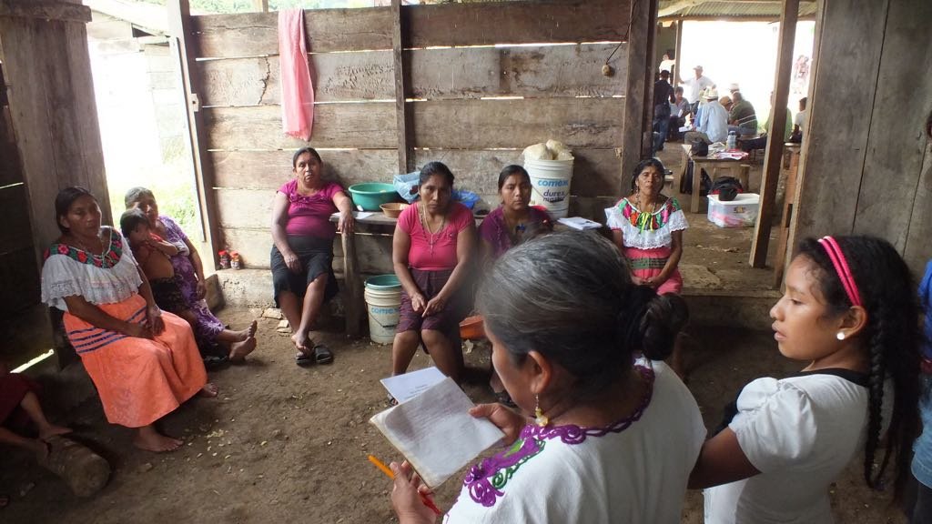 Protect land rights and lives of Mayan communities