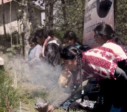 Protect land rights and lives of Mayan communities