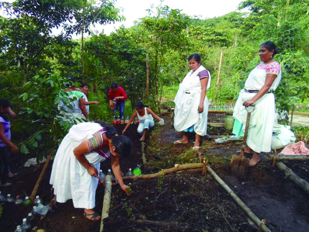 Rebuilding lives of Mexico's earthquake victims