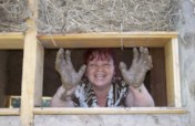 Rebuilding lives of Mexico's earthquake victims