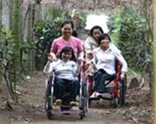 Vocational training,  job creation for young PWDs