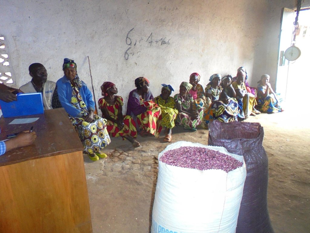 Women and climate change in the DRC