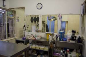 TEARS' REGISTERED CLINIC AND OPERATING THEATRE