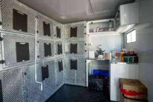 Cat consult room with cages