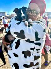 A MUCH-LOVED VRYGROND PUP WAITING TO SEE OUR VETS