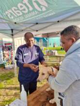 A TEARS VET TREATS A RESIDENT'S DOG AT THE CLINIC