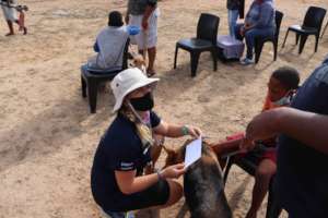 Vrygrond - Dr Monica attending to a resident's dog